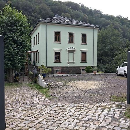 Idyllische Ferienwohnung In Zentrumsnaehe Dresden Buitenkant foto