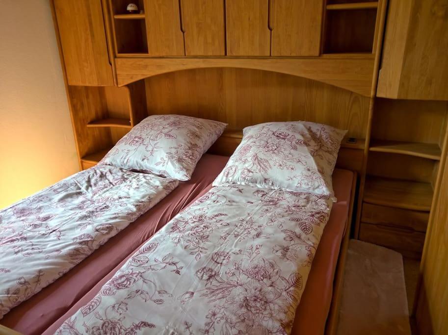 Idyllische Ferienwohnung In Zentrumsnaehe Dresden Buitenkant foto
