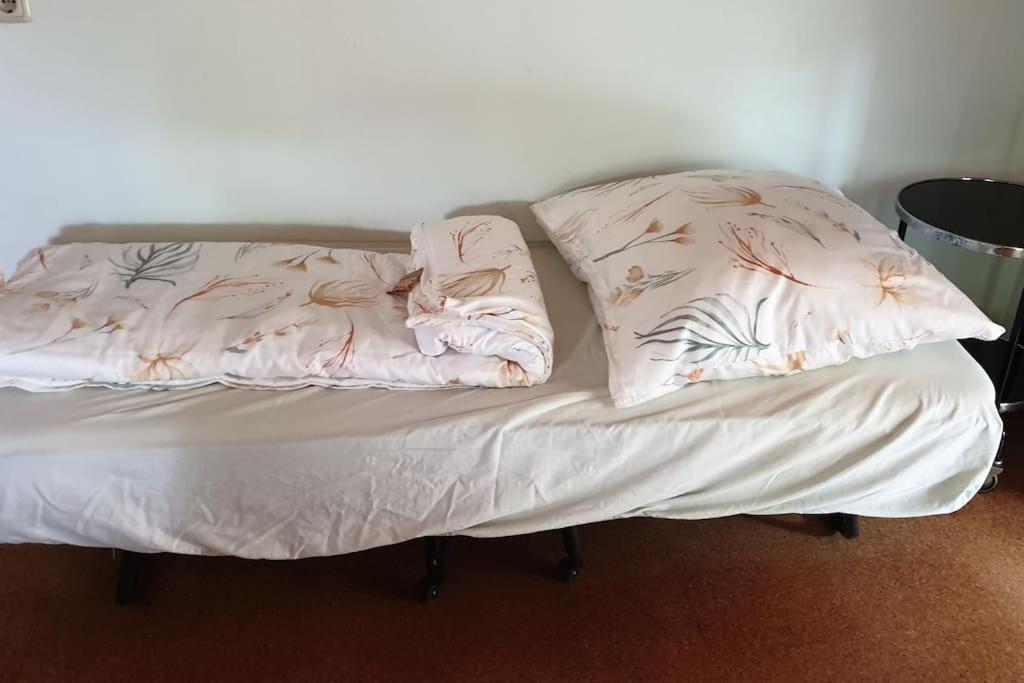 Idyllische Ferienwohnung In Zentrumsnaehe Dresden Buitenkant foto