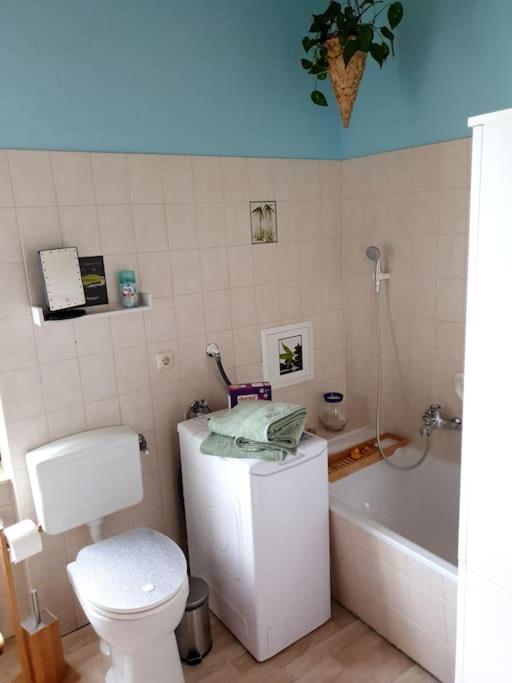 Idyllische Ferienwohnung In Zentrumsnaehe Dresden Buitenkant foto