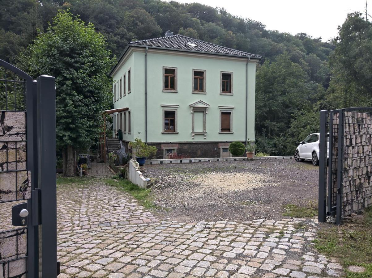 Idyllische Ferienwohnung In Zentrumsnaehe Dresden Buitenkant foto